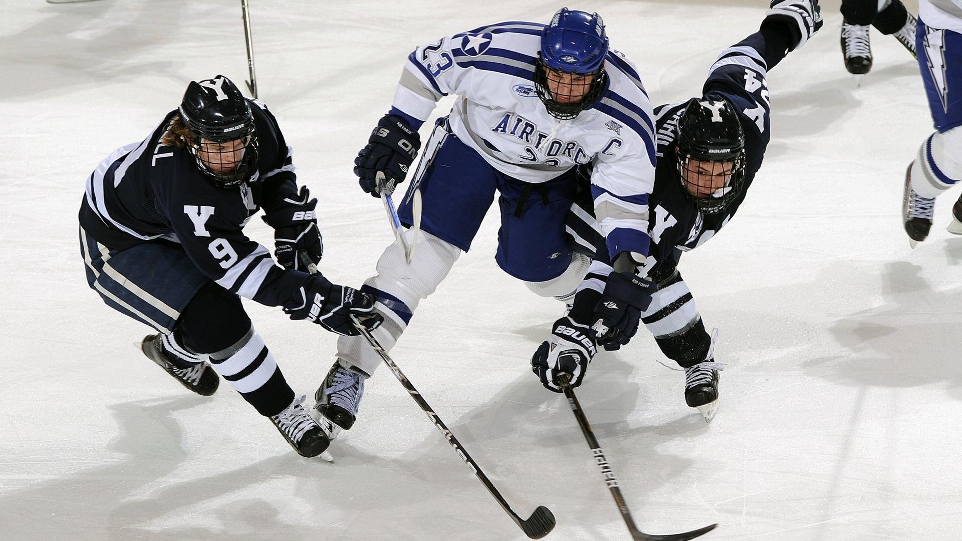 传统武术比赛：文化传承的体育展演，传统武术大赛